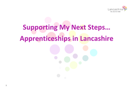 Year 11 and 13 Apprenticeship Support