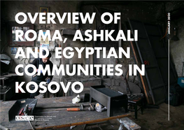 Overview of the Roma, Ashkali and Egyptian Communities