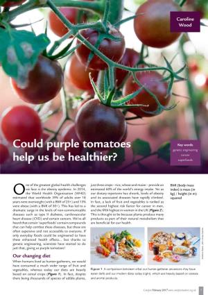 Could Purple Tomatoes Help Us Be Healthier?