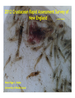 2012 Crustacean Rapid Assessment Survey of New England