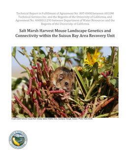 2019 Salt Marsh Harvest Mouse Suisun Bay Genetics Comparison Study
