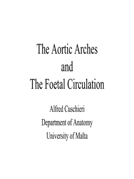 The Aortic Arches and the Foetal Circulation