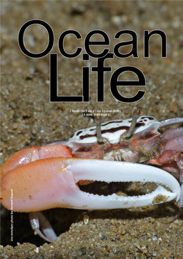 Ocean Life | Vol