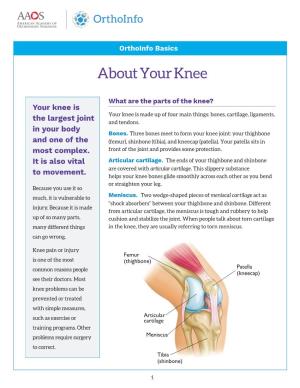 About Your Knee
