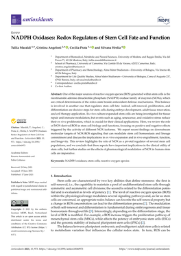 NADPH Oxidases: Redox Regulators of Stem Cell Fate and Function