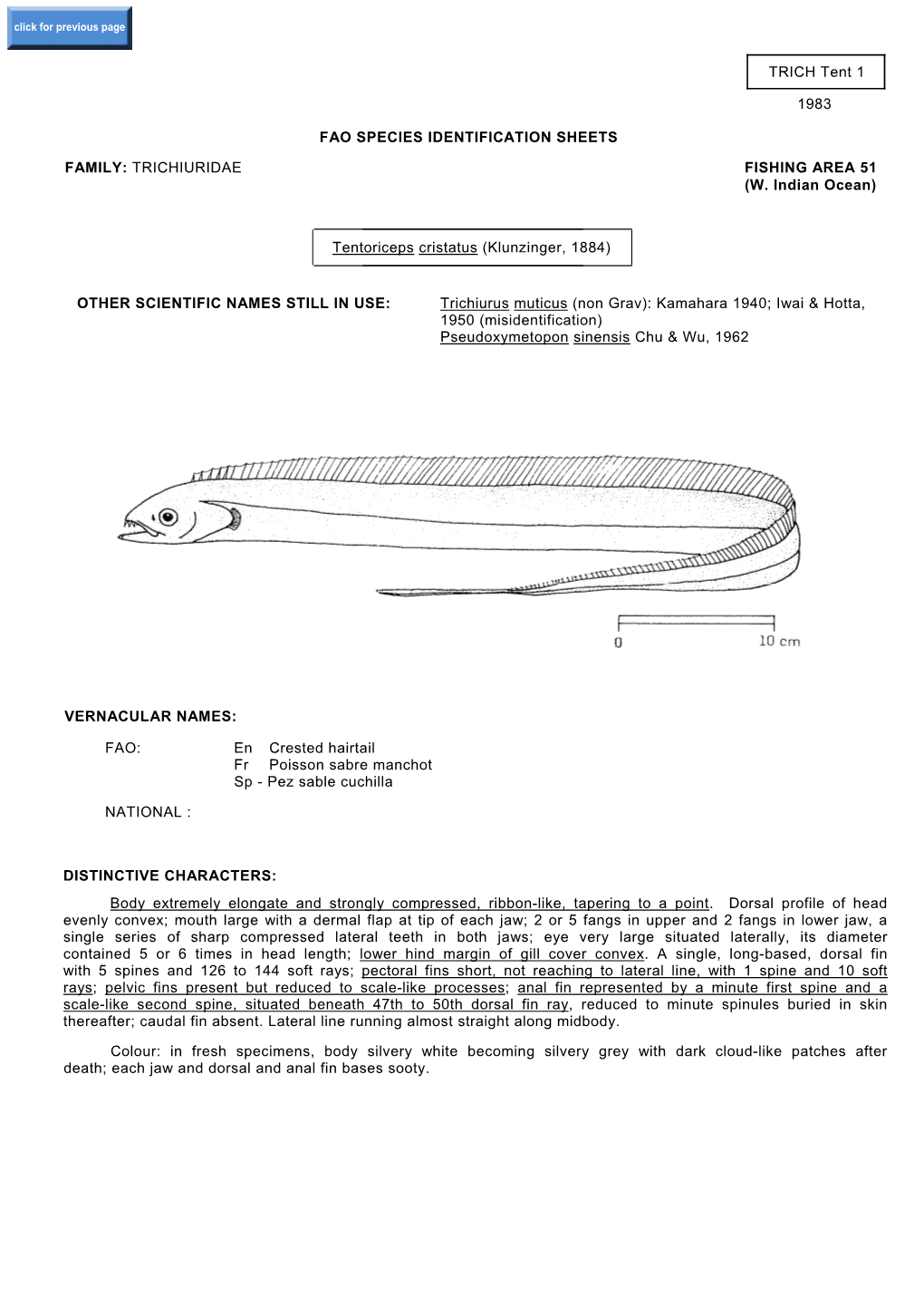 TRICH Tent 1 1983 FAO SPECIES IDENTIFICATION SHEETS FAMILY