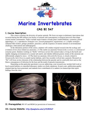 Marine Invertebrates CAS BI 547 I