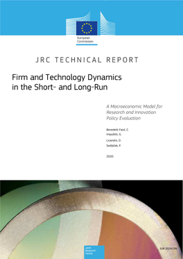 Firm and Technology Dynamics in the Short- and Long-Run