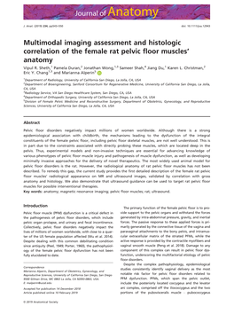 Multimodal Imaging Assessment and Histologic Correlation of the Female Rat Pelvic ﬂoor Muscles’ Anatomy Vipul R