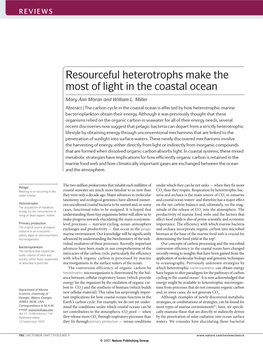 Resourceful Heterotrophs Make the Most of Light in the Coastal Ocean