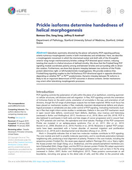 Prickle Isoforms Determine Handedness of Helical Morphogenesis Bomsoo Cho, Song Song, Jeffrey D Axelrod*
