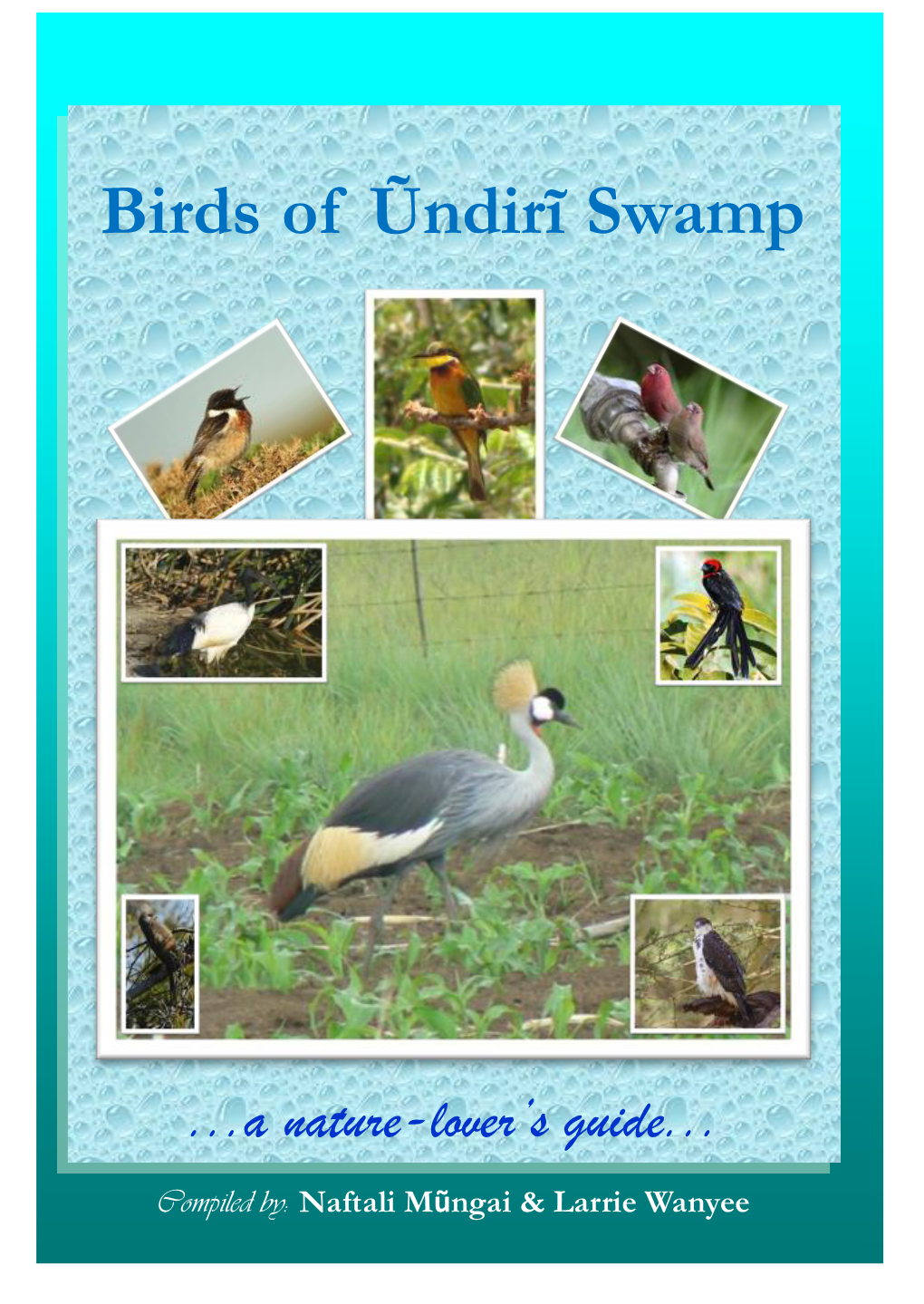 Birds of Ondiri Swamp Is Supported by the Rufford Small Grants Foundation