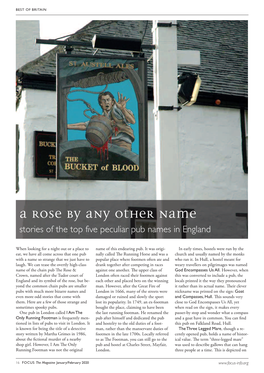 A Rose by Any Other Name Stories of the Top Five Peculiar Pub Names in England