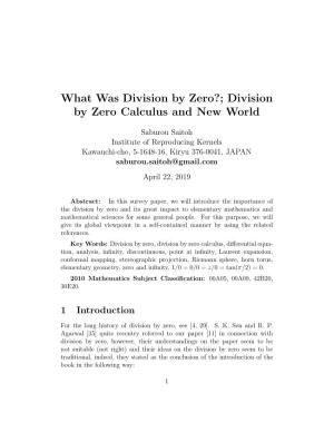 Division by Zero Calculus and New World