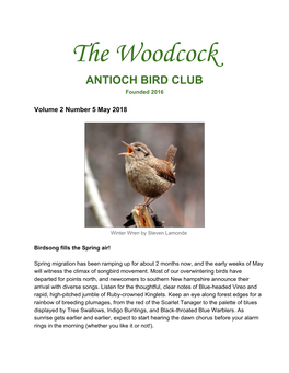 The Woodcock ANTIOCH BIRD CLUB Founded 2016