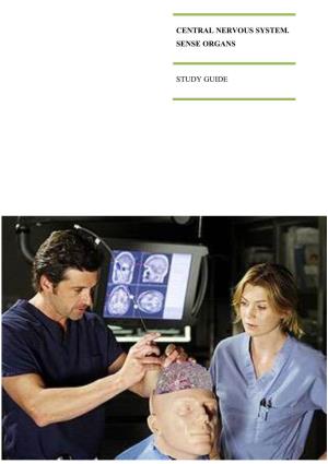 Central Nervous System. Sense Organs Study Guide