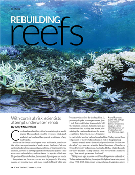 Rebuilding Reefs