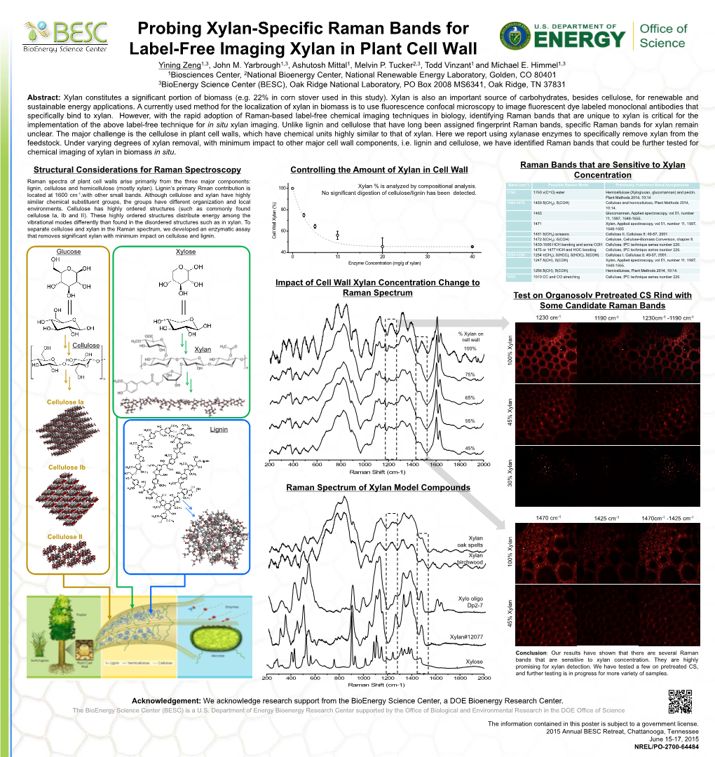 Probing Xylan-Specific Raman Bands for Label-Free Imaging Xylan in Plant Cell Wall Yining Zeng1,3, John M