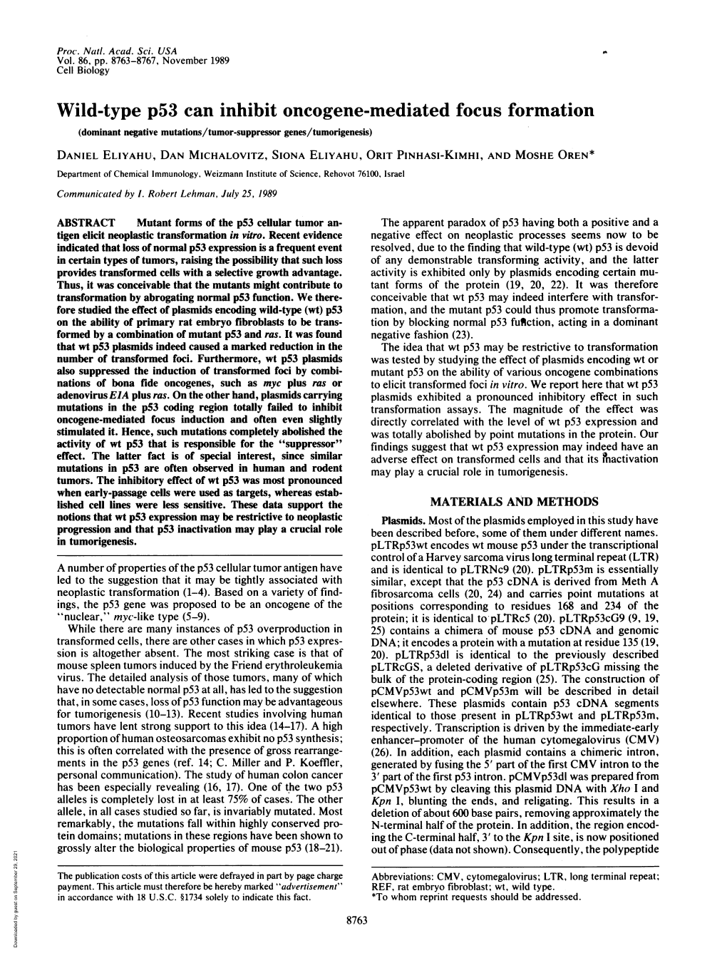 Wild-Type P53 Can Inhibit Oncogene-Mediated Focus Formation