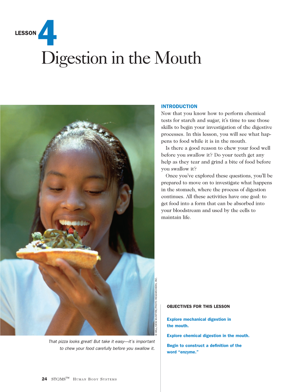 Digestion in the Mouth