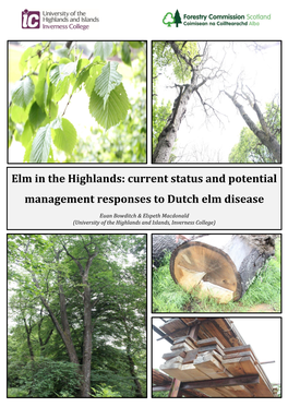 Elm in the Highlands: Current Status and Potential