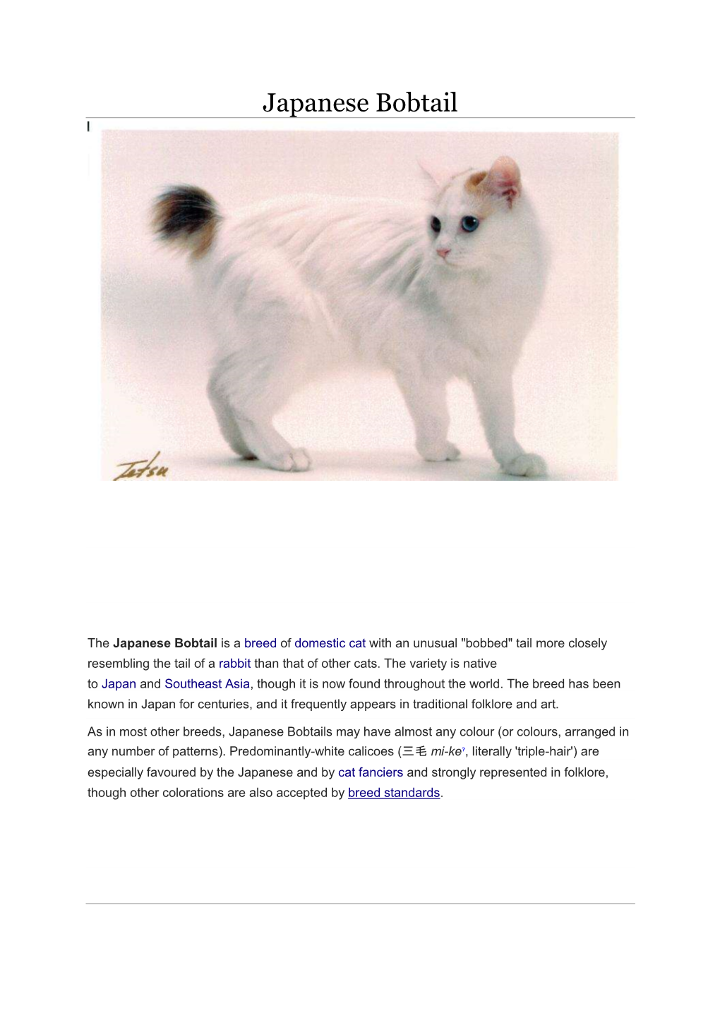 Japanese Bobtail