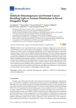 Aldehyde Dehydrogenases and Prostate Cancer: Shedding Light on Isoform Distribution to Reveal Druggable Target