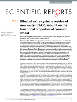 Effect of Extra Cysteine Residue of New Mutant 1Ax1 Subunit on The