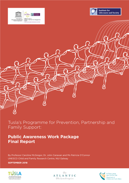 Public Awareness Work Package Final Report