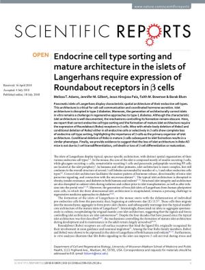 Endocrine Cell Type Sorting and Mature Architecture in the Islets Of