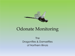 Odonate Monitoring