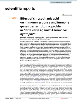 Effect of Chrysophanic Acid on Immune Response And
