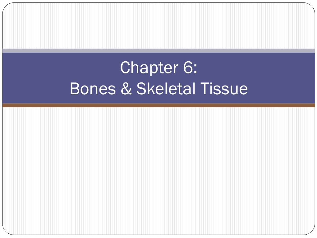 Chapter 6: Bones & Skeletal Tissue