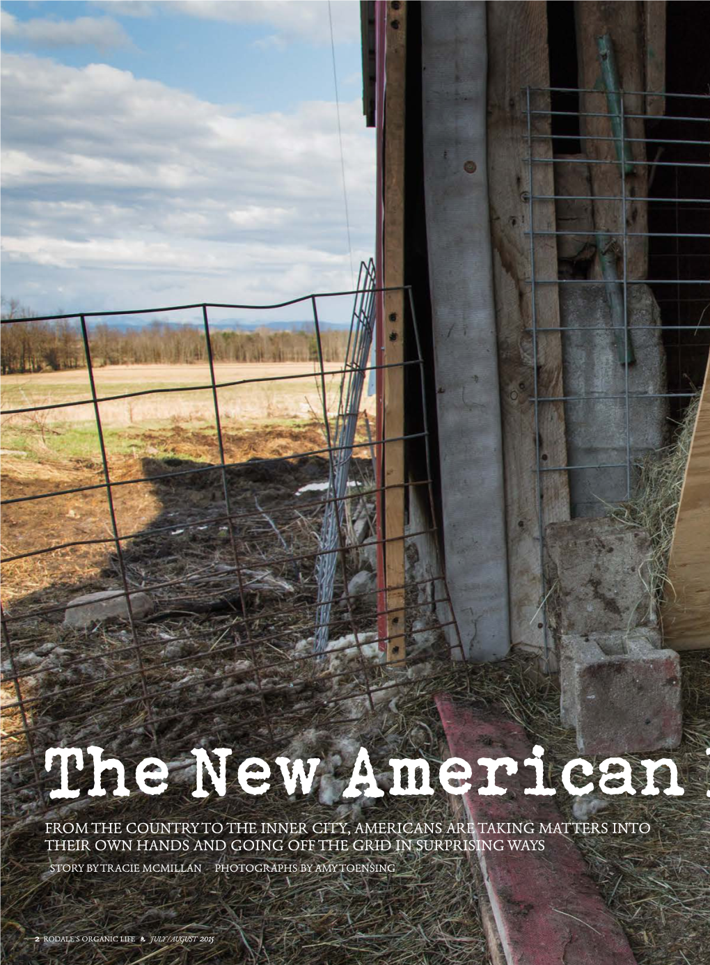 The New American Life