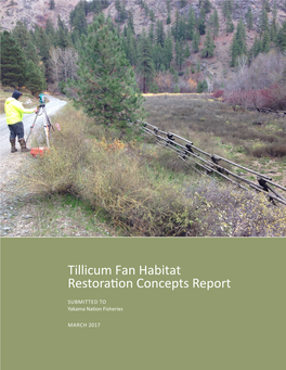 Tillicum Fan Habitat Restoration Concepts Report