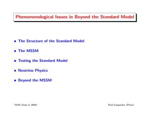 Phenomenological Issues in Beyond the Standard Model