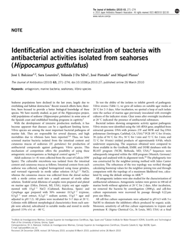Identification and Characterization of Bacteria with Antibacterial Activities Isolated from Seahorses (Hippocampus Guttulatus)