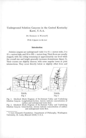 Underground Solution Canyons in the Central Kentucky Karst, U.S.A