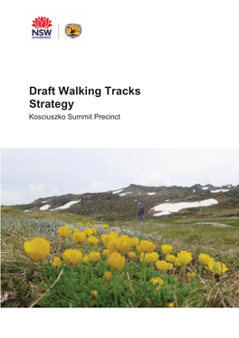 Draft Walking Track Strategy Kosciuszko Summit Precinct
