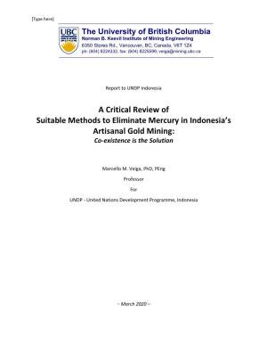 A Critical Review of Suitable Methods to Eliminate Mercury in Indonesia's Artisanal Gold Mining
