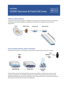 Fact Sheet: COVID Vaccines & Fetal Cell Lines