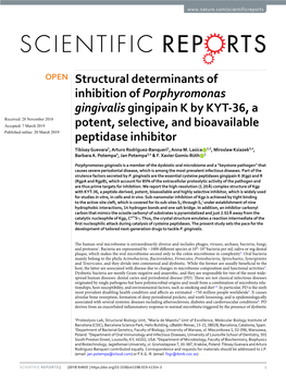 Structural Determinants of Inhibition of Porphyromonas Gingivalis