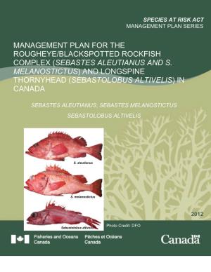 Management Plan for the Rougheye/Blackspotted Rockfish Complex (Sebastes Aleutianus and S