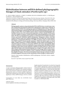 Hybridization Between Mtdna-Defined Phylogeographic