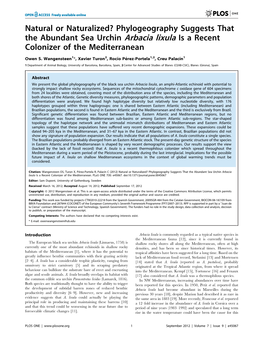 Phylogeography Suggests That the Abundant Sea Urchin Arbacia Lixula Is a Recent Colonizer of the Mediterranean