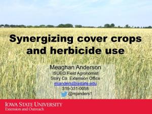 Using Your Cover Crops to Manage Weeds and Terminating Them Before
