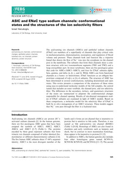 ASIC and Enac Type Sodium Channels: Conformational States and the Structures of the Ion Selectivity ﬁlters Israel Hanukoglu