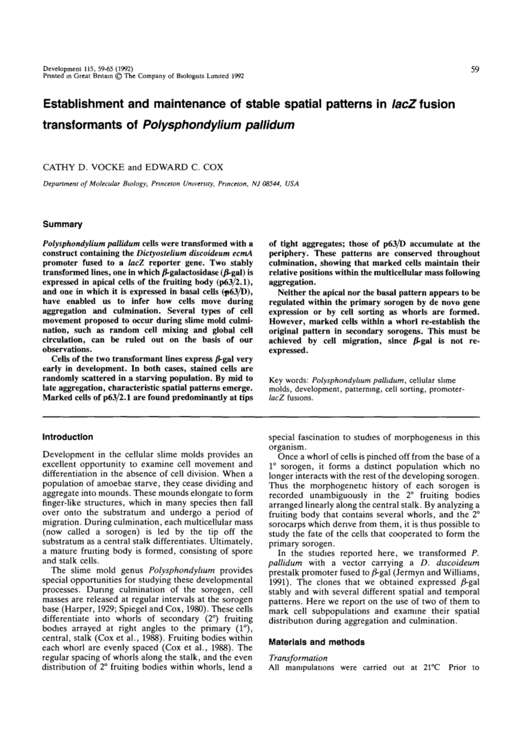 Establishment and Maintenance of Stable Spatial Patterns in Lacz Fusion Transformants of Polysphondylium Pallidum