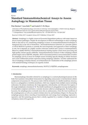 Standard Immunohistochemical Assays to Assess Autophagy in Mammalian Tissue