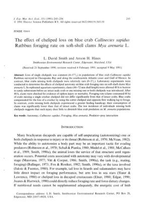The Effect of Cheliped Loss on Blue Crab Callinectes Sapidus Rathbun Foraging Rate on Soft-Shell Clams Mya Arenaria L